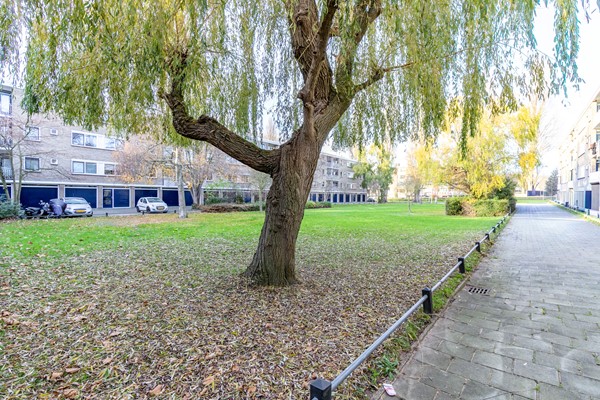 Medium property photo - Joseph Haydnlaan 78, 2324 AT Leiden